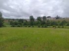 20240514_Suivi_parcelle_Vue3.jpg