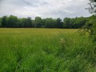 prairie_en_bord_de_Dore.jpg