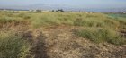 20251008_092549.jpg