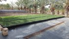 Vivero_Muzale_7.jpg
